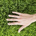 Woman Touching Grass-Roy McMahon-Photographic Print