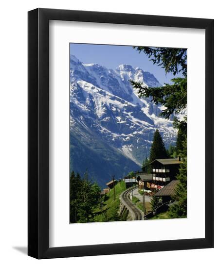 Premium Photographic Print, , large