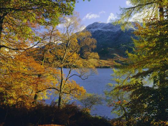 Photographic Print, , large