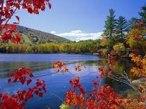 Fall Colours, Moose Pond, with Mount Pleasant in the Background, Maine, New England, USA-Roy Rainford-Photographic Print