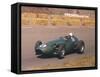 Roy Salvadori Driving an Aston Martin, Dutch Grand Prix, Zandvoort, 1959-null-Framed Stretched Canvas