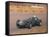 Roy Salvadori Driving an Aston Martin, Dutch Grand Prix, Zandvoort, 1959-null-Framed Stretched Canvas