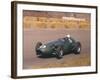 Roy Salvadori Driving an Aston Martin, Dutch Grand Prix, Zandvoort, 1959-null-Framed Photographic Print