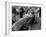 Roy Salvadori in a Maserati, Goodwood, 1954-null-Framed Photographic Print