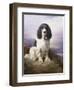 Royal, a Tri-Colour Working Springer Spaniel-Lilian Cheviot-Framed Giclee Print