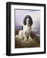 Royal, a Tri-Colour Working Springer Spaniel-Lilian Cheviot-Framed Giclee Print