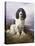 Royal, a Tri-Colour Working Springer Spaniel-Lilian Cheviot-Stretched Canvas