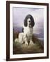 Royal, a Tri-Colour Working Springer Spaniel-Lilian Cheviot-Framed Giclee Print