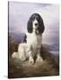 Royal, a Tri-Colour Working Springer Spaniel-Lilian Cheviot-Stretched Canvas