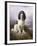 Royal, a Tri-Colour Working Springer Spaniel-Lilian Cheviot-Framed Giclee Print