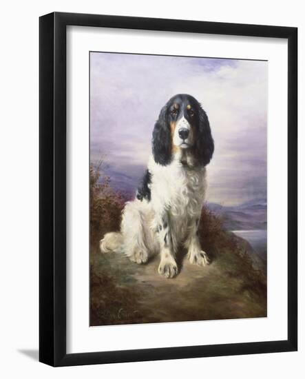 Royal, a Tri-Colour Working Springer Spaniel-Lilian Cheviot-Framed Giclee Print