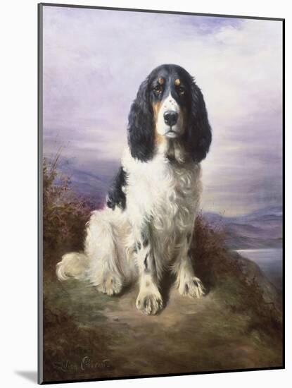 Royal, a Tri-Colour Working Springer Spaniel-Lilian Cheviot-Mounted Giclee Print