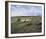 Royal Aberdeen (18th Hole)-Peter Munro-Framed Giclee Print