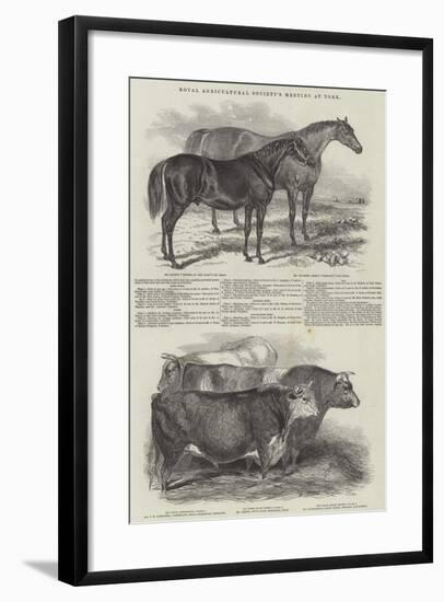 Royal Agricultural Society's Meeting, at York-null-Framed Giclee Print