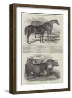 Royal Agricultural Society's Meeting, at York-null-Framed Giclee Print