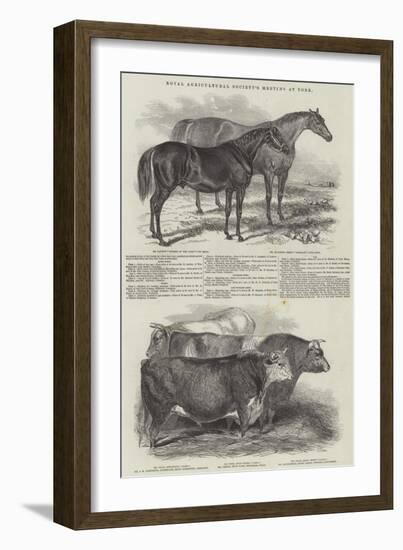 Royal Agricultural Society's Meeting, at York-null-Framed Giclee Print