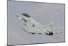 Royal Air Force Ef-2000 Typhoon Taking Off-Stocktrek Images-Mounted Photographic Print