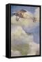 Royal Aircraft Factory Fe 8 Fighter Plane-null-Framed Stretched Canvas