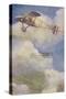 Royal Aircraft Factory Fe 8 Fighter Plane-null-Stretched Canvas