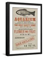 Royal Aquarium, Westminster ... Two Great Variety Shows Daily ... Artificial Flower and Fruit Show-null-Framed Premium Giclee Print