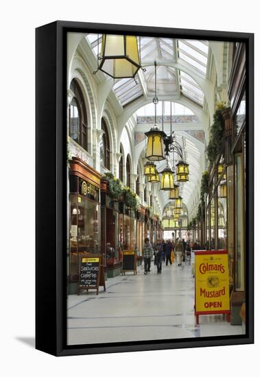 Royal Arcade, Norwich, Norfolk, 2010-Peter Thompson-Framed Stretched Canvas