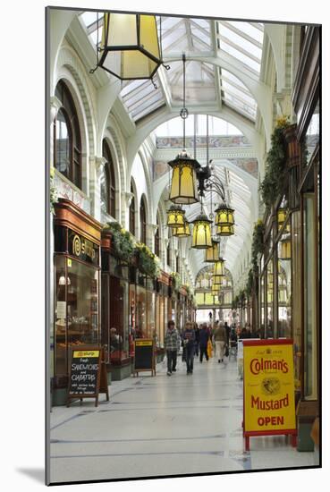 Royal Arcade, Norwich, Norfolk, 2010-Peter Thompson-Mounted Photographic Print