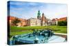 Royal Archcathedral Basilica of Saints Stanislaus-SerrNovik-Stretched Canvas