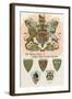 Royal Arms of Great Britain and Ireland-null-Framed Art Print