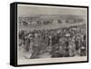 Royal Ascot in the Coronation Year-G.S. Amato-Framed Stretched Canvas