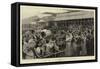 Royal Ascot, the Enclosure before the Race for the Cup-Arthur Hopkins-Framed Stretched Canvas