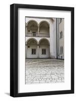 Royal Basilica of Saints Stanislaus and Wenceslaus on the Wawel Hill in Krakow, Poland-Curioso Travel Photography-Framed Photographic Print