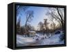 Royal Baths Park at winter time, Warsaw, Masovian Voivodeship, Poland, Europe-Karol Kozlowski-Framed Stretched Canvas