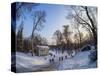 Royal Baths Park at winter time, Warsaw, Masovian Voivodeship, Poland, Europe-Karol Kozlowski-Stretched Canvas