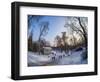 Royal Baths Park at winter time, Warsaw, Masovian Voivodeship, Poland, Europe-Karol Kozlowski-Framed Photographic Print