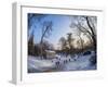 Royal Baths Park at winter time, Warsaw, Masovian Voivodeship, Poland, Europe-Karol Kozlowski-Framed Photographic Print