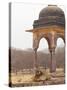 Royal Bengal Tiger At The Cenotaph, Ranthambhor National Park, India-Jagdeep Rajput-Stretched Canvas