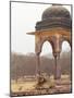 Royal Bengal Tiger At The Cenotaph, Ranthambhor National Park, India-Jagdeep Rajput-Mounted Photographic Print