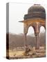 Royal Bengal Tiger At The Cenotaph, Ranthambhor National Park, India-Jagdeep Rajput-Stretched Canvas