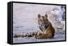 Royal Bengal Tiger by the Ramganga River, Corbett NP, India-Jagdeep Rajput-Framed Stretched Canvas