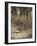 Royal Bengal Tiger, Ranthambhor National Park, India-Jagdeep Rajput-Framed Photographic Print