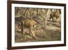 Royal Bengal Tiger (Tigris Tigris) Cubs, Ranthambhore, Rajasthan, India-Janette Hill-Framed Photographic Print