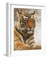 Royal Bengal Tiger Watching, Ranthambhor National Park, India-Jagdeep Rajput-Framed Photographic Print