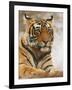 Royal Bengal Tiger Watching, Ranthambhor National Park, India-Jagdeep Rajput-Framed Photographic Print