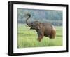 Royal Bengal Tiger Watching, Ranthambhor National Park, India-Jagdeep Rajput-Framed Photographic Print