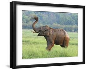 Royal Bengal Tiger Watching, Ranthambhor National Park, India-Jagdeep Rajput-Framed Photographic Print