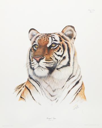 Royal Bengal Tiger And Cub, Painting by Julian Wheat | Artmajeur