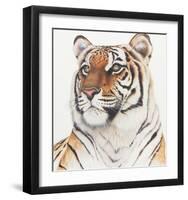 Royal Bengal Tiger-Sean Bollar-Framed Collectable Print