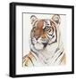 Royal Bengal Tiger-Sean Bollar-Framed Collectable Print