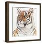 Royal Bengal Tiger-Sean Bollar-Framed Collectable Print