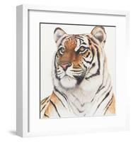 Royal Bengal Tiger-Sean Bollar-Framed Collectable Print